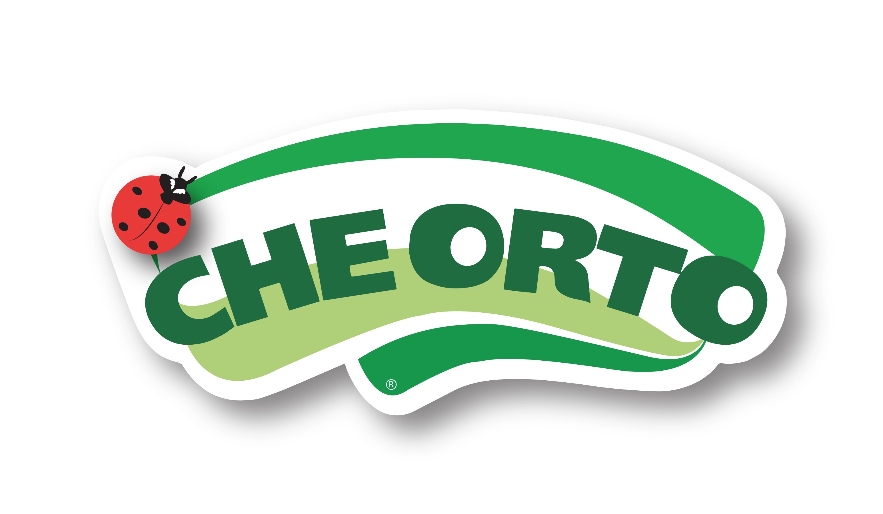 Logo squadra S.S. Longobarda - tornei calcio amatoriale pontino